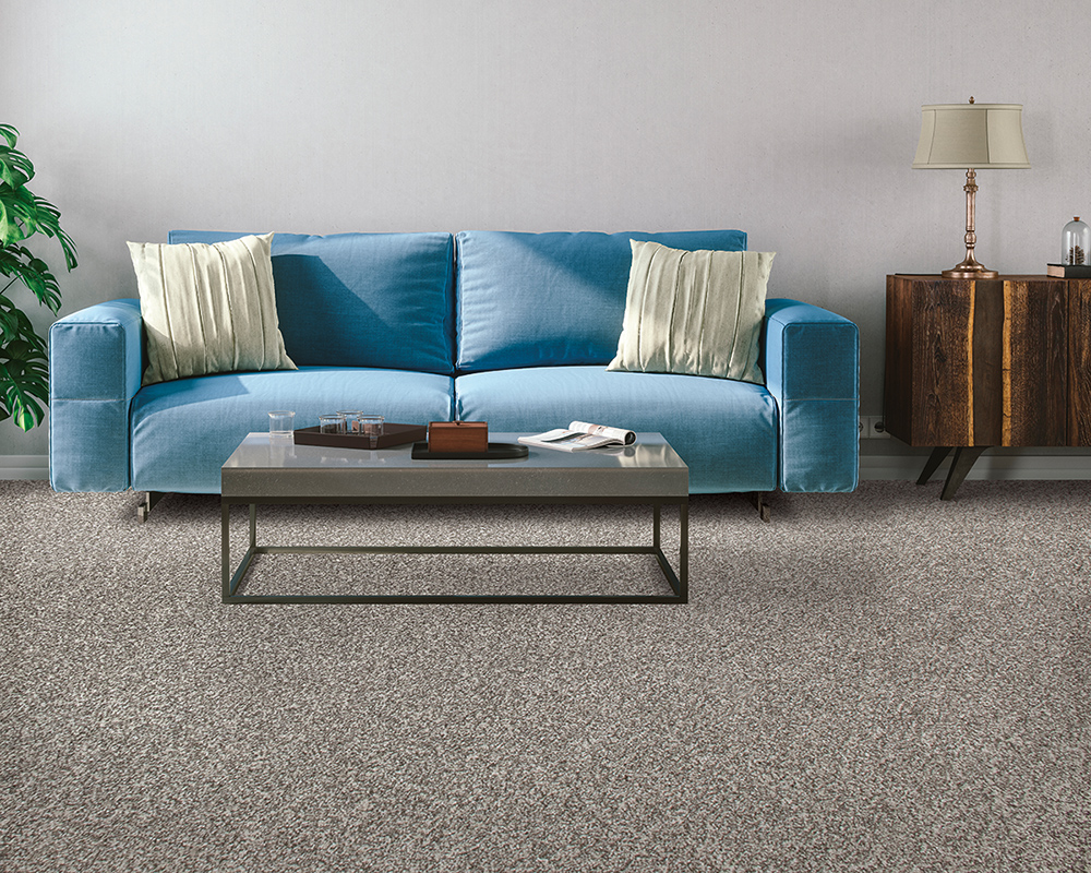 High definition colour carpet collection expanded Coverings